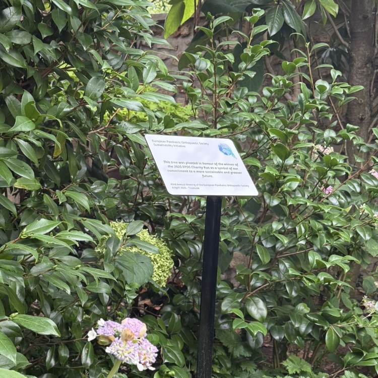 Support Signalétique Museum Grand Modèle