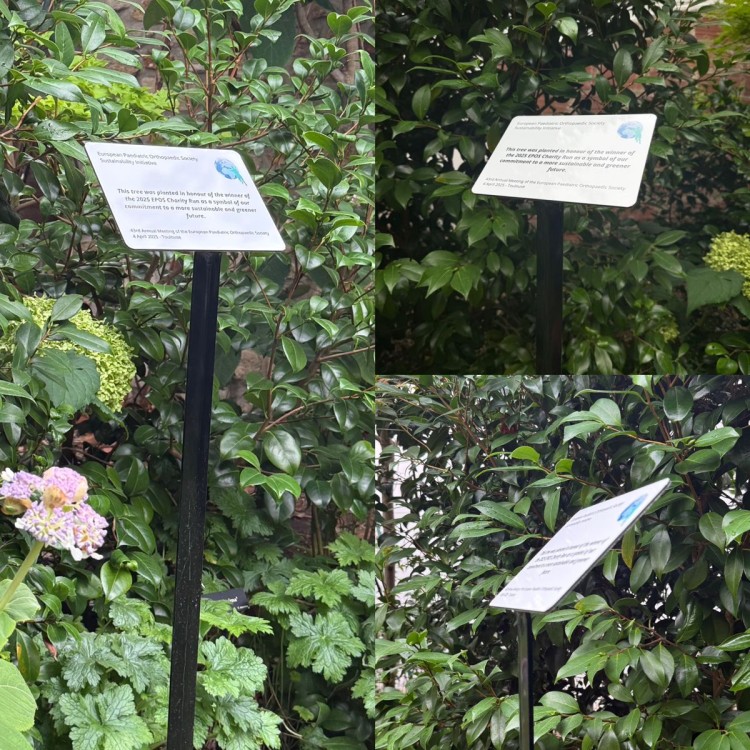 Support Signalétique Museum Grand Modèle