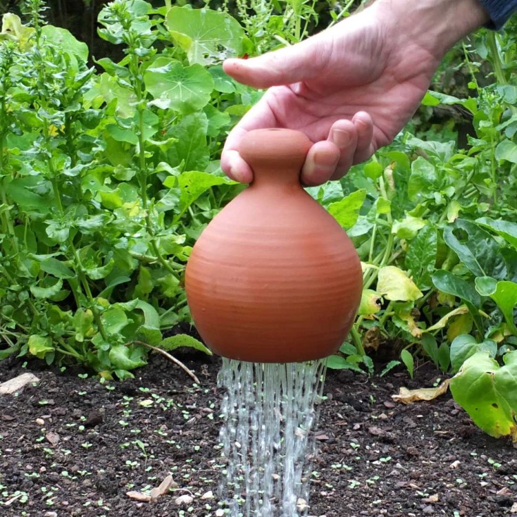 Chantepleure - Arrosoir Terre Cuite