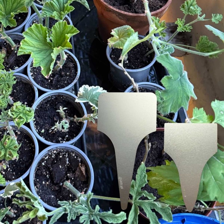 Étiquettes jardin à planter,...