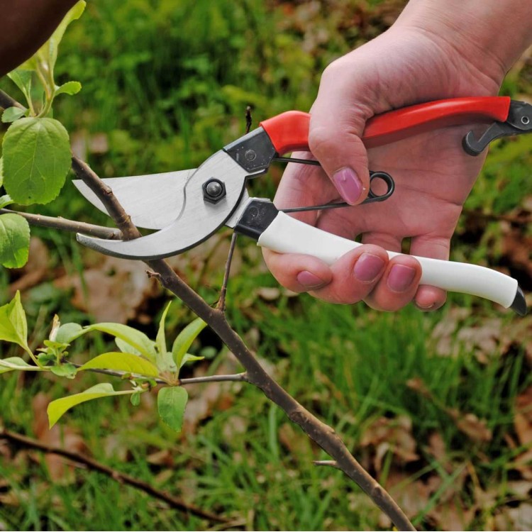 Sécateur japonais Okatsune pour la taille au jardin