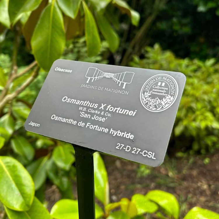 Support avec Platine Inclinée 'Museum'