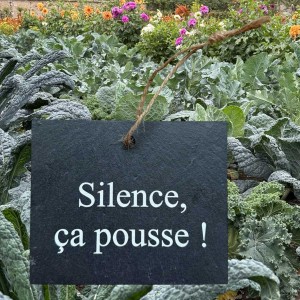 Pancarte en Ardoise... 2