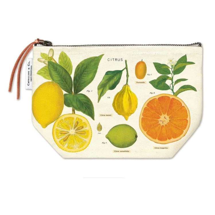 Trousse cavallini citrus planche botanique agrumes en coton naturel