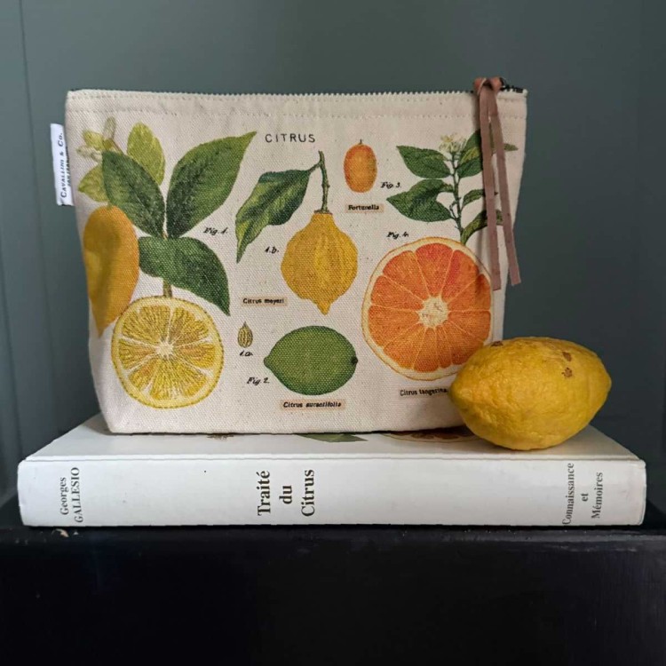 Trousse cavallini citrus planche botanique agrumes en coton naturel