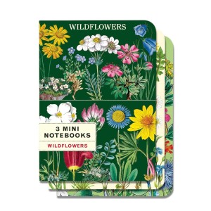 Lot de carnets Cavallini fleurs sauvages alpines format A6