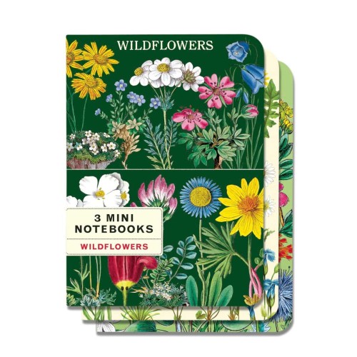 Lot de carnets Cavallini fleurs sauvages alpines format A6