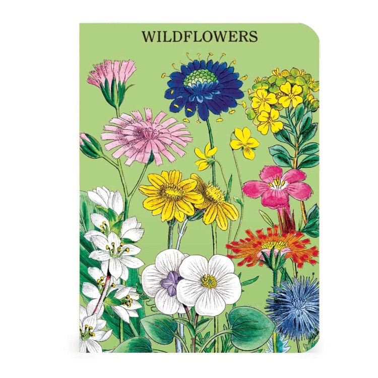 Lot de carnets Cavallini fleurs sauvages alpines format A6