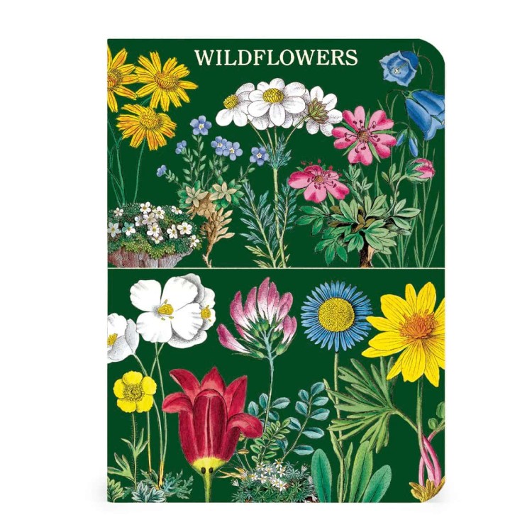 Lot de carnets Cavallini fleurs sauvages alpines format A6