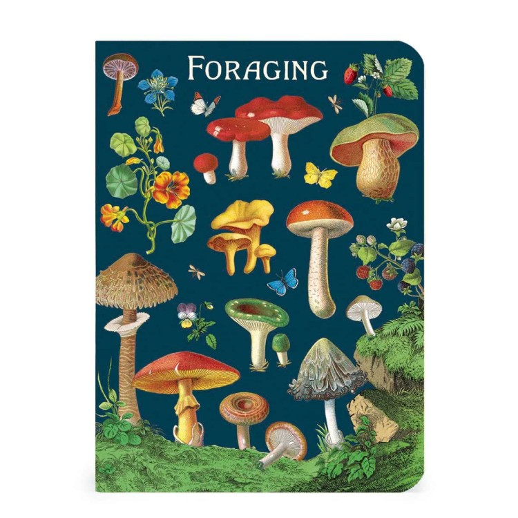 Lot de carnets Cavallini cueillette champignons format A6