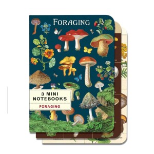 Lot de carnets Cavallini cueillette champignons format A6