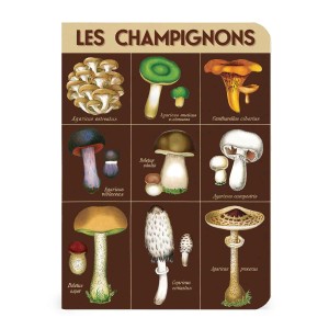 Lot de carnets Cavallini cueillette champignons format A6 2