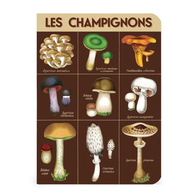 Lot de carnets Cavallini cueillette champignons format A6