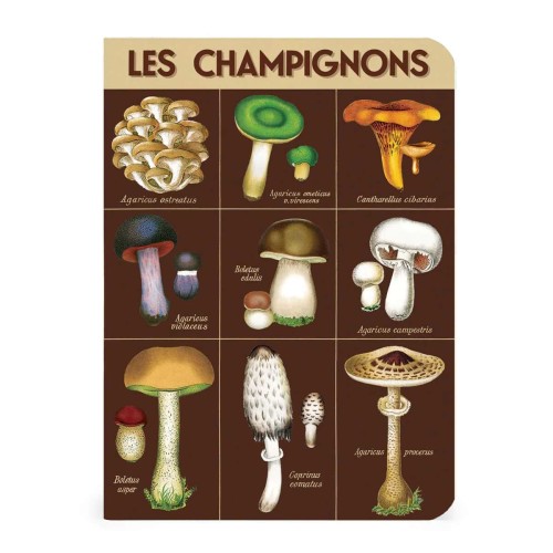 Lot de carnets Cavallini cueillette champignons format A6