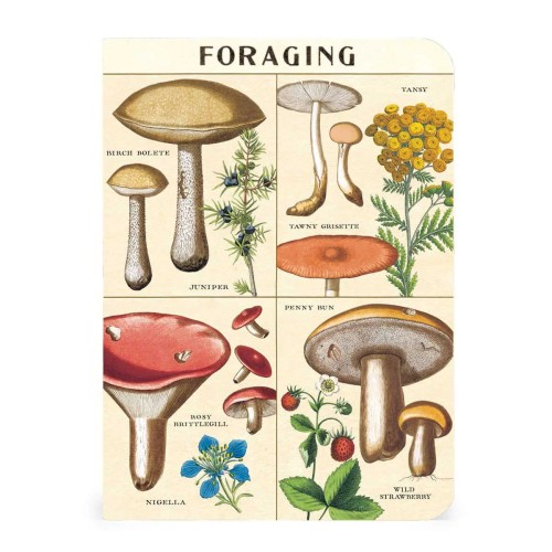 Lot de carnets Cavallini cueillette champignons format A6