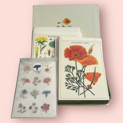 Coffret de cartes Wildflowers illustrées de fleurs sauvages – Cavallini & Co.