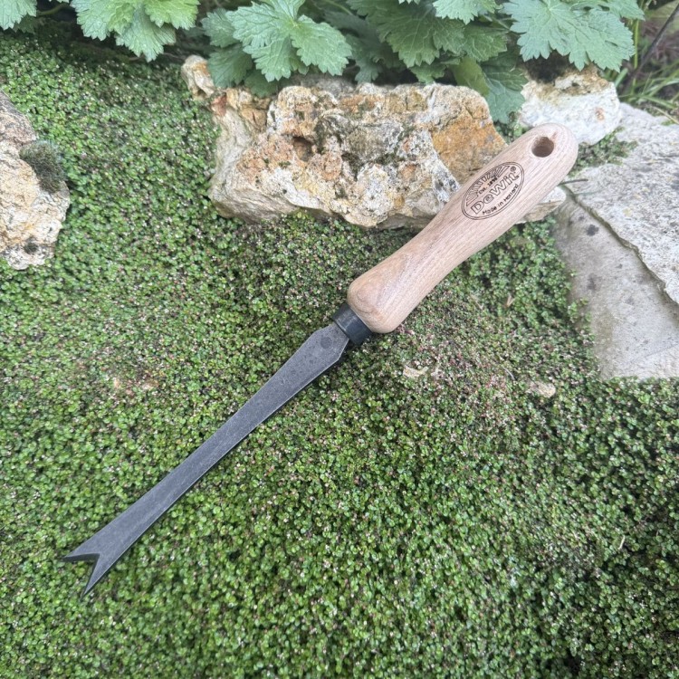 Arrache pissenlit forgé DeWit en acier carbone pour extraction racine pivotante – Botanique Éditions