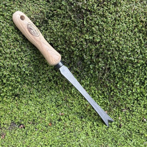 Arrache pissenlit forgé DeWit en acier carbone pour extraction racine pivotante – Botanique Éditions