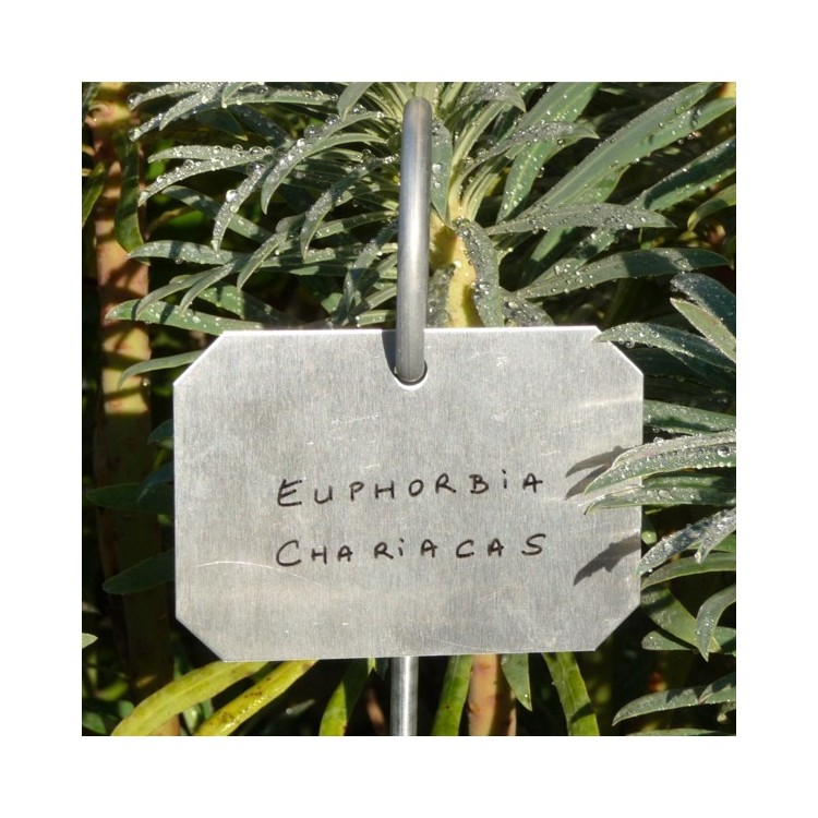 Etiquette de jardin en zinc