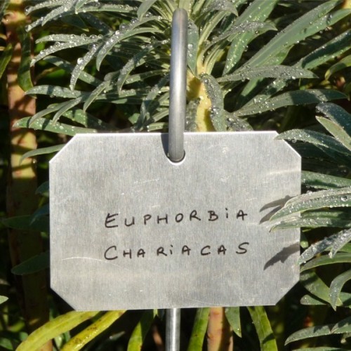 Etiquette de jardin en zinc