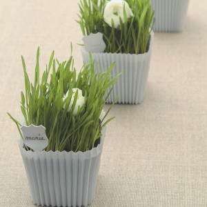 Tubes à Orchidée 2