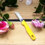 Couteau de Fleuriste