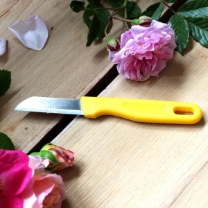 Couteau de Fleuriste 2