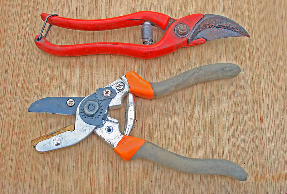 Sécateur Felco® professionnel, choisir le meilleur - PLaisible