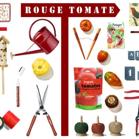 Récolter vos graines de tomates