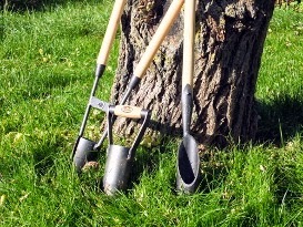 Les outils pour planter les bulbes