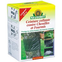 Comment lutter contre les fourmis au jardin ?