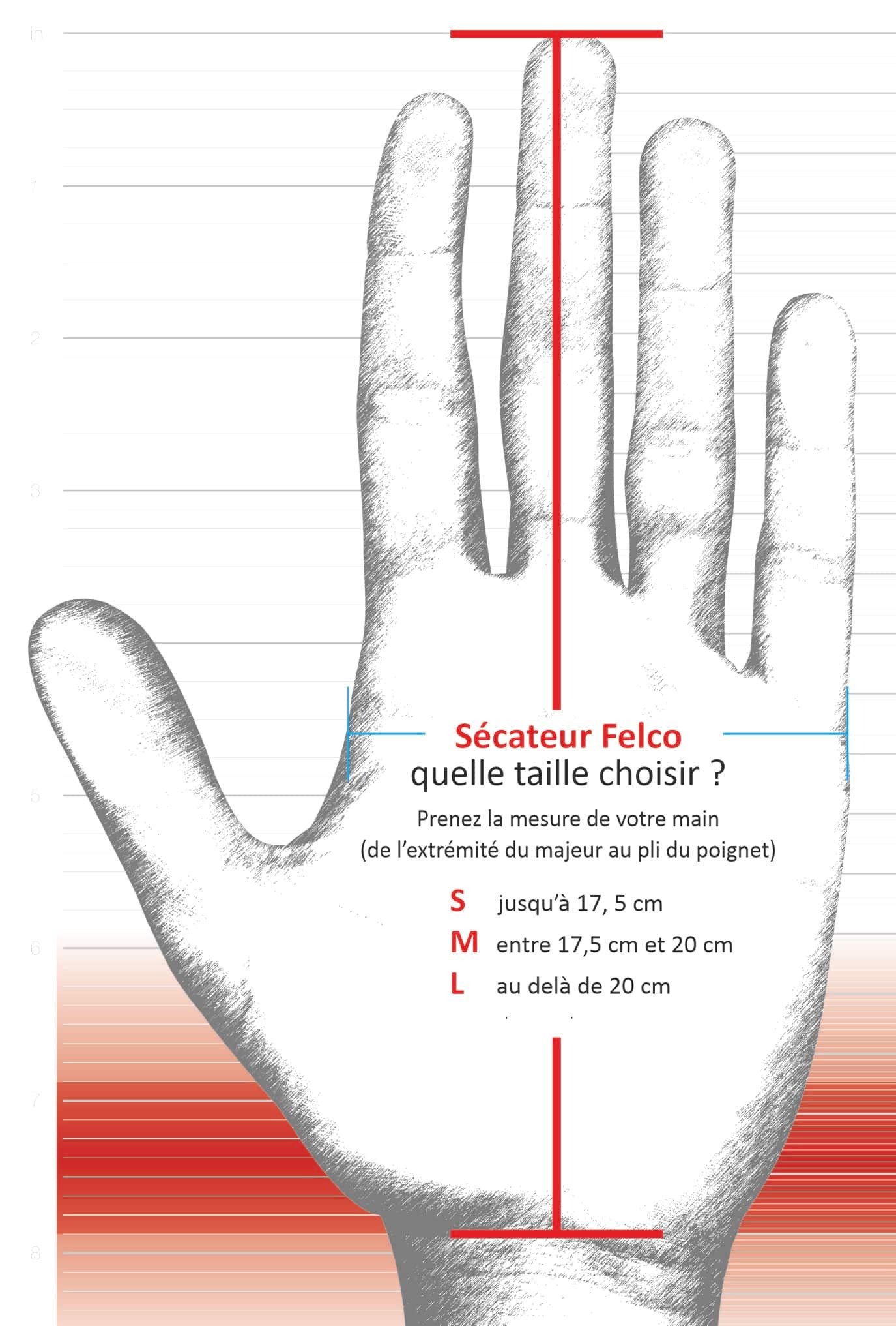 Sécateur Felco, Guide des tailles