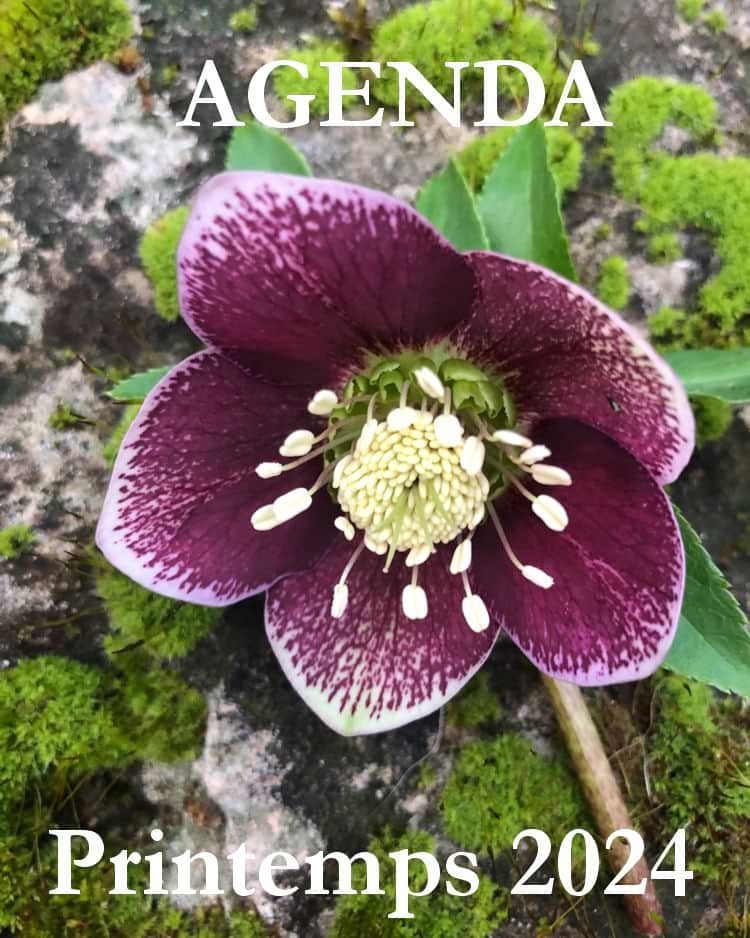 L'Agenda - Printemps 2024