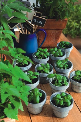 Préparez la terre de son potager