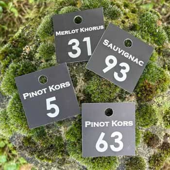 Des étiquettes au jardin